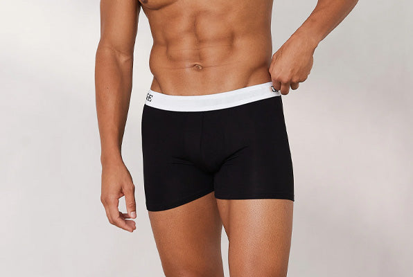 New collection – the boxer co
